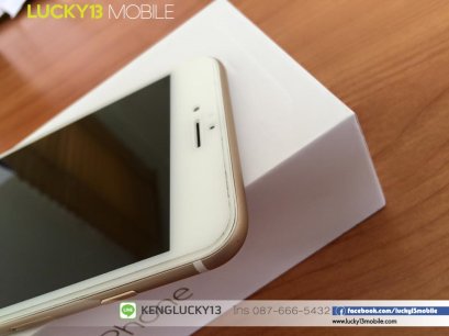 I6+ 64GB GOLD 23,900฿